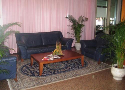 Hotel King Alba Adriatica Esterno foto